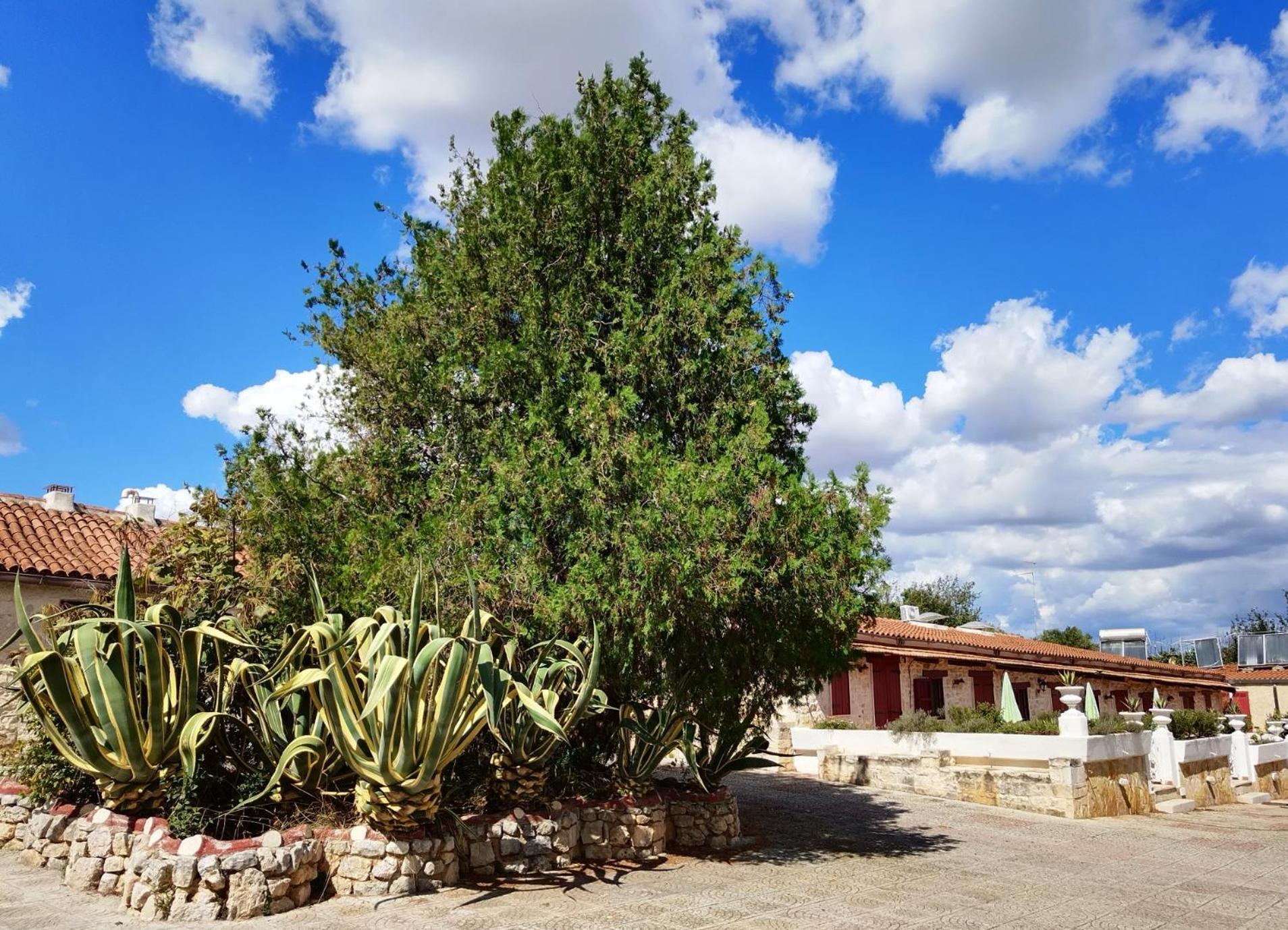 Holiday Residence Casamassima Εξωτερικό φωτογραφία